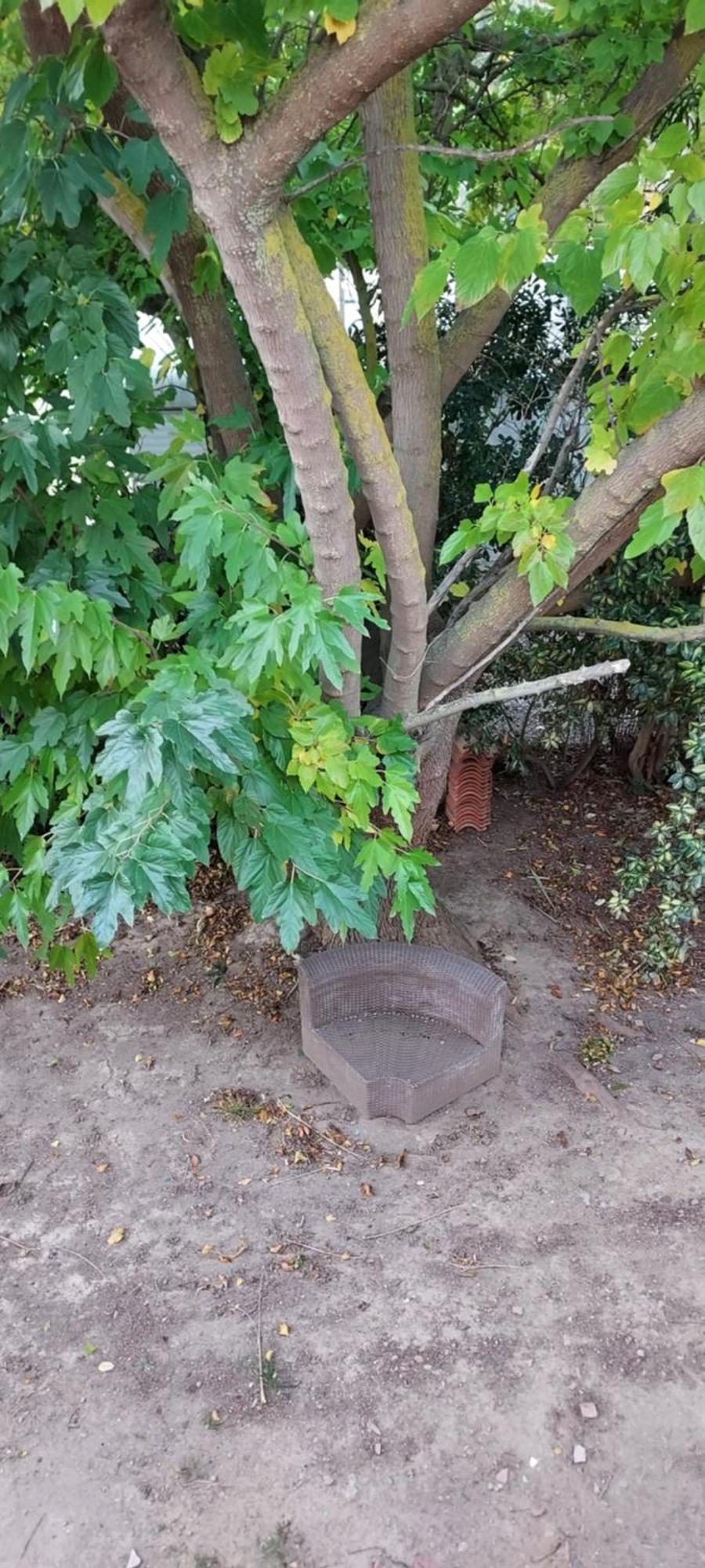 Le Barcares Logement Climatise Pour 6 Personnes, Draps Et Serviettes Non Fournis Air-Conditioned Accommodation For 6 People, Sheets And Towels Not Provided Alojamiento Con Aire Acondicionado Para 6 Personas, Sabanas Y Toallas No Incluidas Экстерьер фото